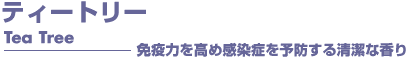 ティートリー　アロマオイル　事典