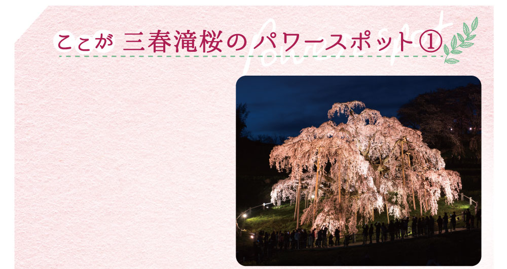 三春滝桜のここがパワースポット①