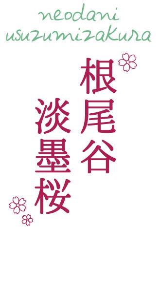 根尾谷淡墨桜