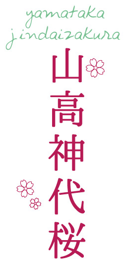 実相寺 山梨県