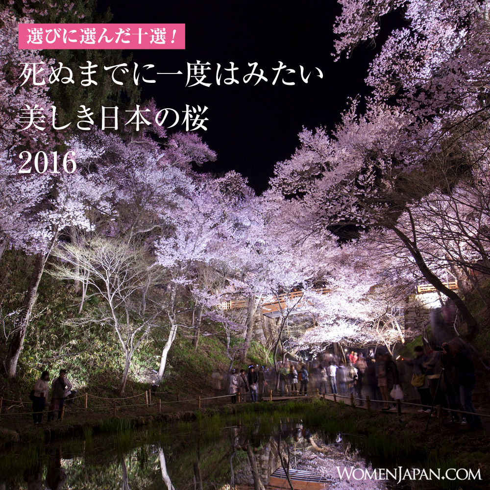 一度はみたい美しき日本の桜