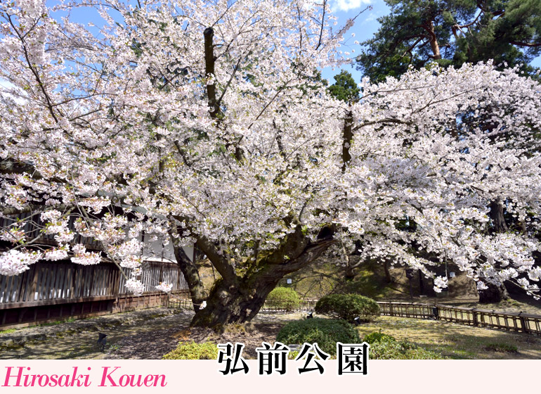 弘前公園