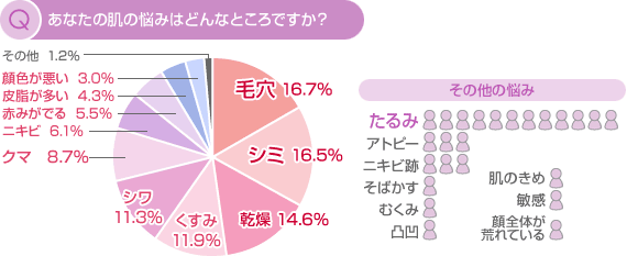 あなたの肌の悩みはどんなところですか?