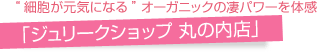 ジュリークショップ　丸の内店