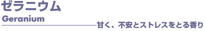 ゼラニウム　アロマオイル　事典