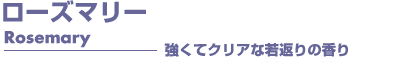 ローズマリー　アロマオイル　事典