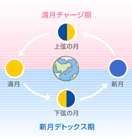 満月チャージ期＆新月デトックス期