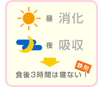 昼　消化、夜　吸収→食後3時間は寝ない！