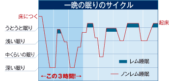 一晩の眠りのサイクル