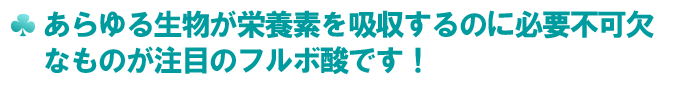 あらゆる生物が栄養素を吸収するのに必要不可欠なものが注目のフルボ
酸です。