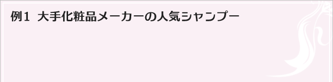 例1 大手化粧品メーカーの人気シャンプー