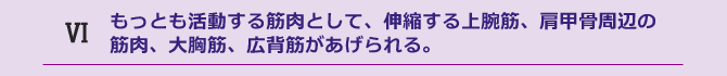 もっとも活動する筋肉として、伸縮する上腕筋、肩甲骨周辺の筋肉、大胸筋、広背筋があげられる