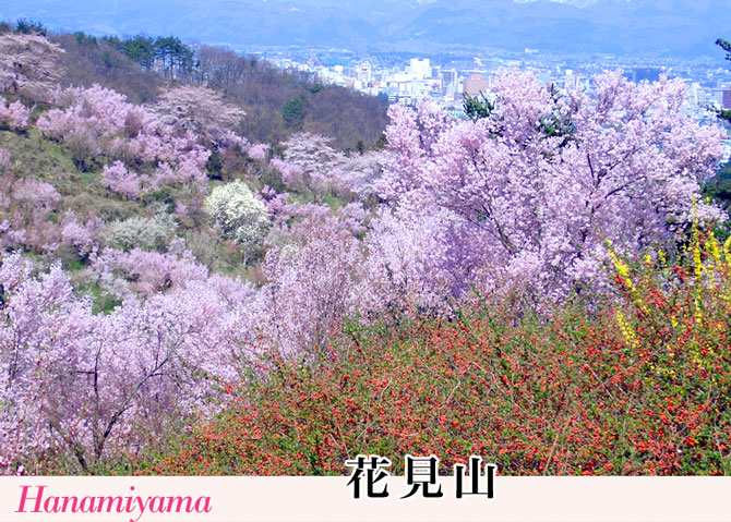 花見山（はなみやま）