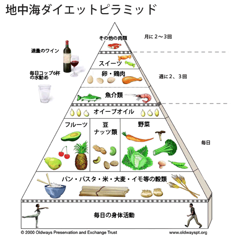 chichukai_diet_pyramid