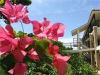 clubmed-ishigaki_img10