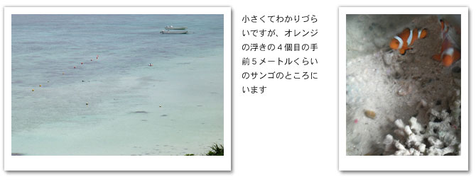 clubmed-ishigaki_pic22