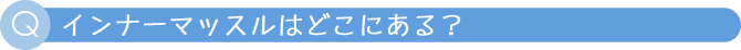 inner_m_q23