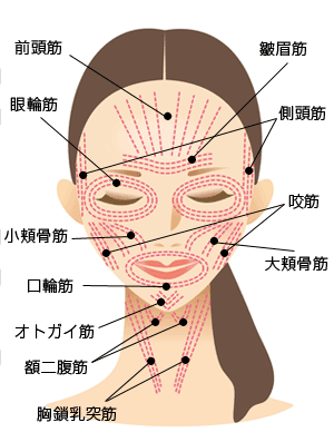 脇 たるみ エクササイズ