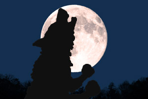moon_05_pic_werewolf